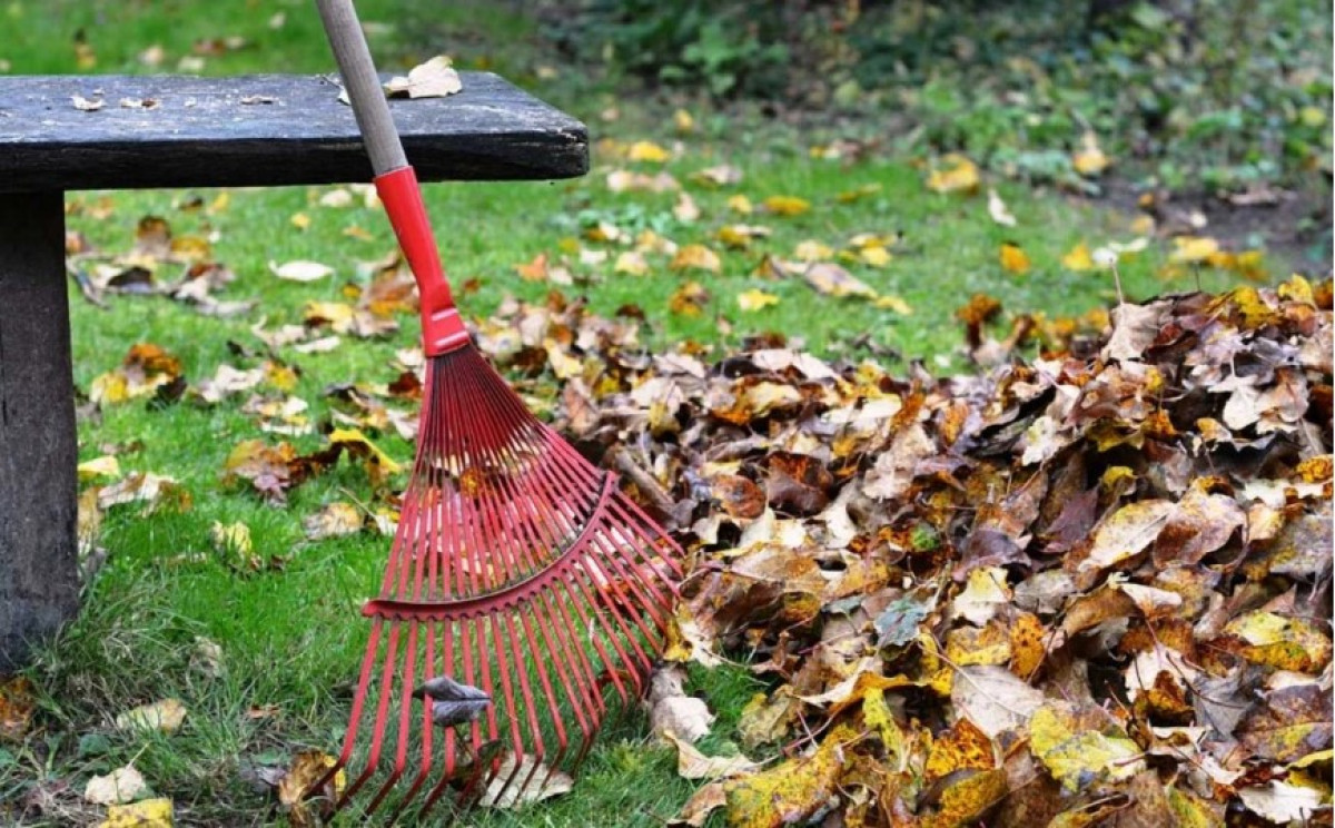 Hol kell ártalmatlanítani a kerti hulladékot? Itt van, hogyan kell csinálni.