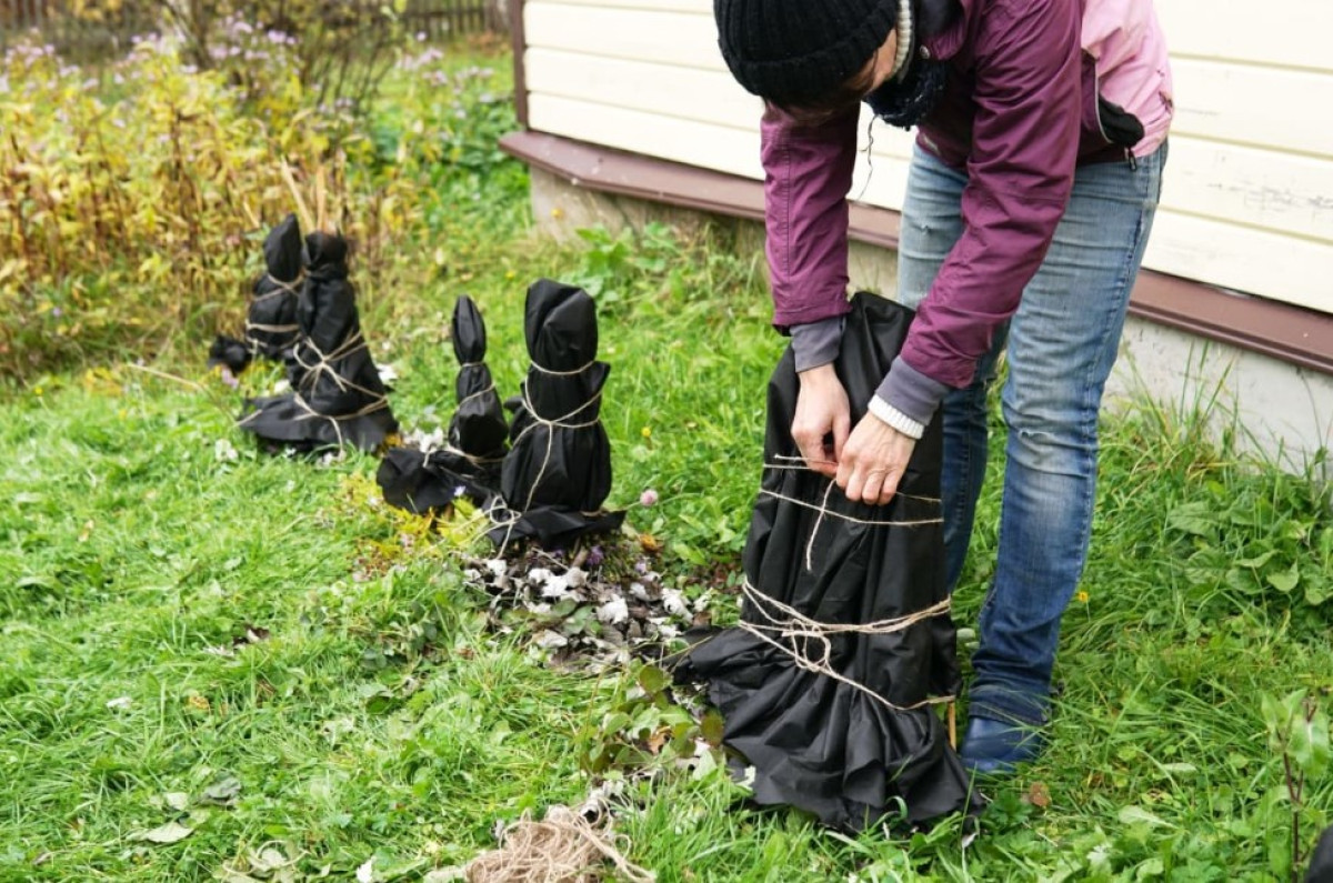 Kertészeti tippek hideg időjárás esetén: Hogyan készítsük fel a kertet télre