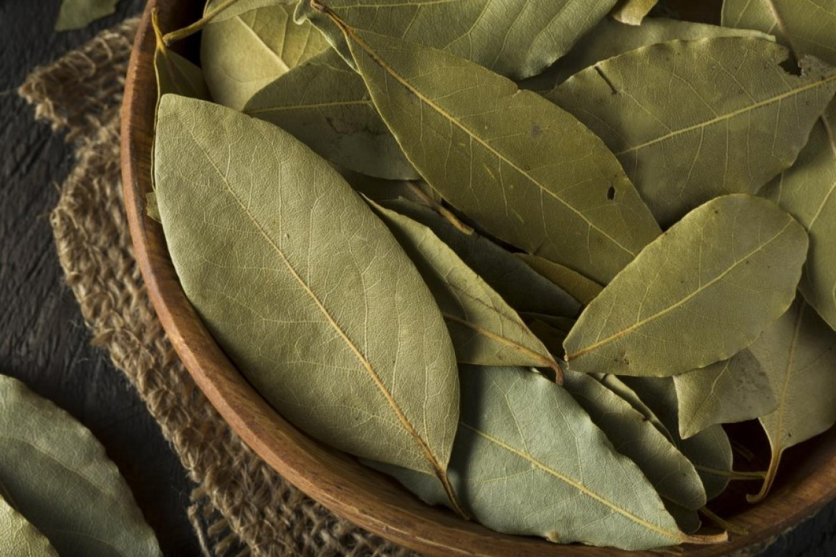 Miért akasztanak babérlevelet a hálószoba vagy a bejárati ajtóra? Ősi jelentés, amely ma is él
