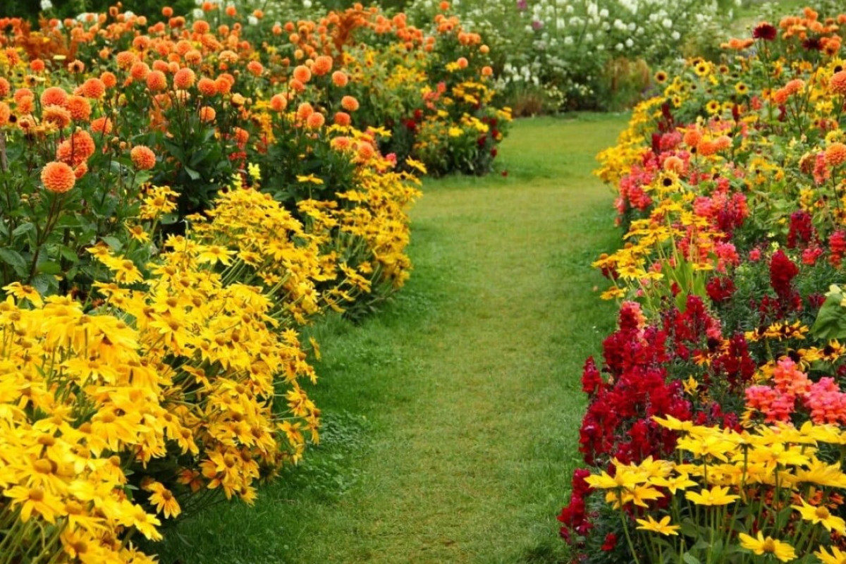 Növények, amelyek a legmelegebb őszi színekkel töltik meg kertjét és otthonát