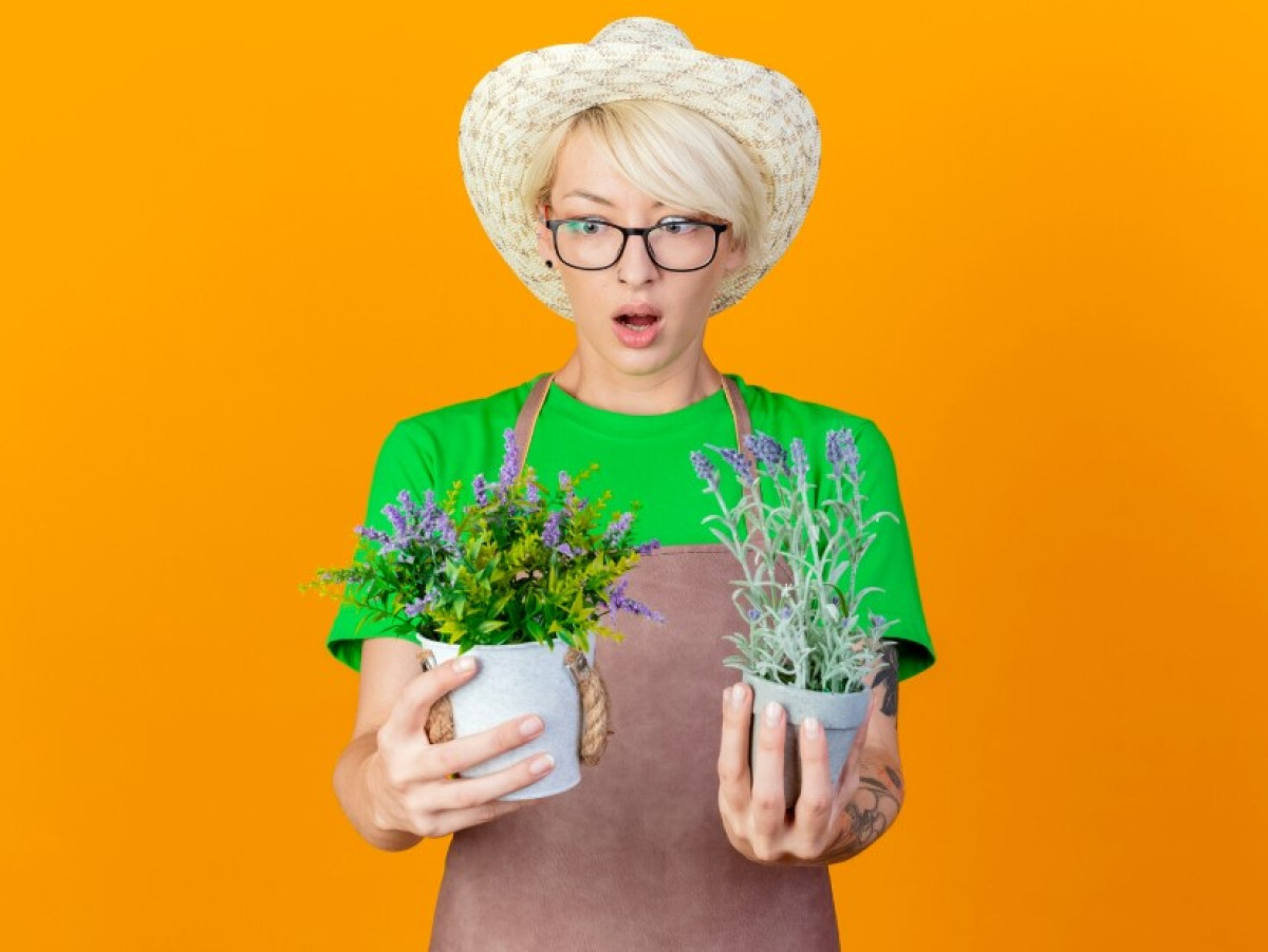 Titkos kerttrükkök: így virágoznak a növényeid egész évben